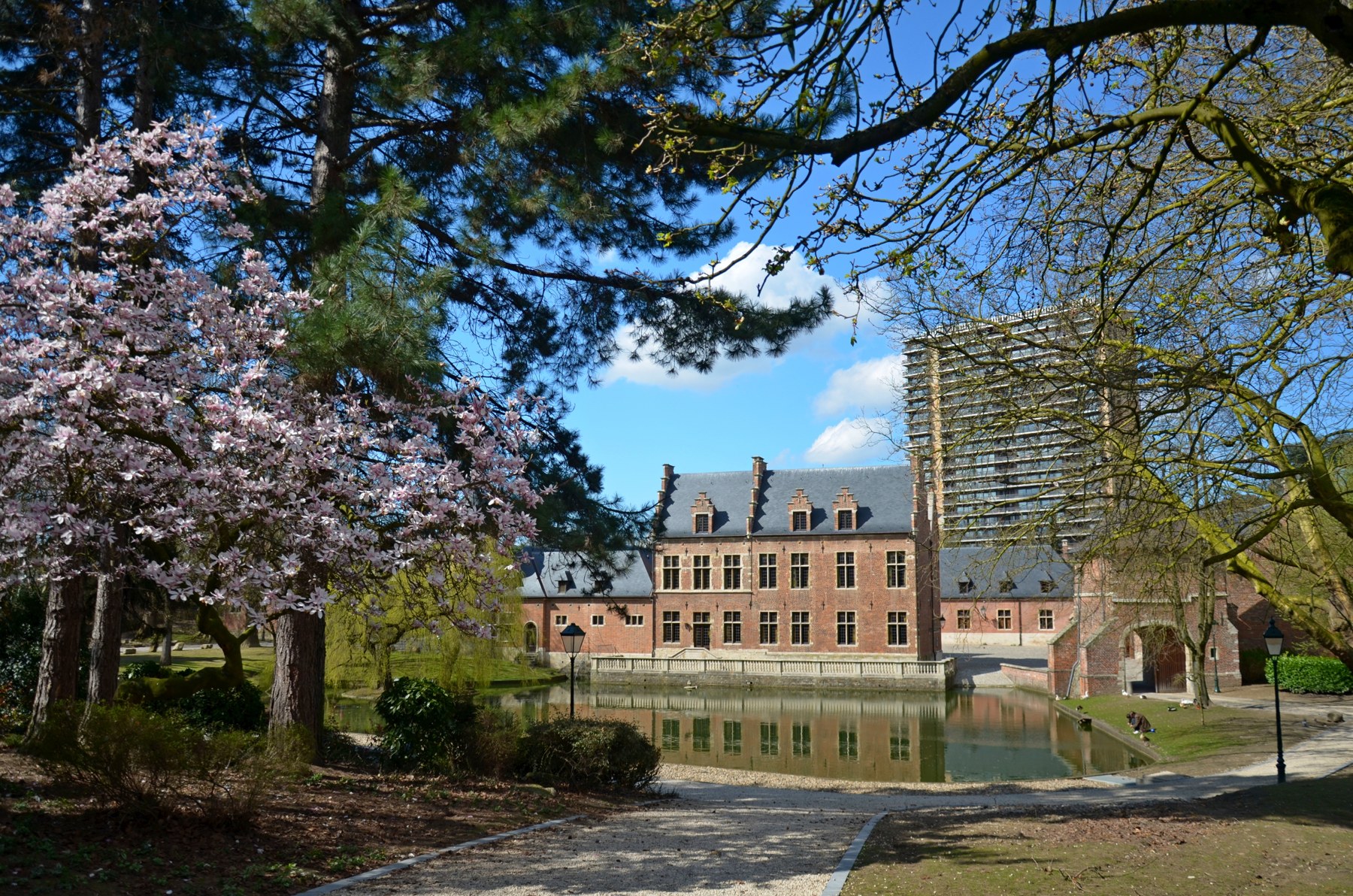 Château du Karreveld et son étang, entourés d’arbres et d’un magnolia en fleurs